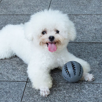 Brinquedos para cães Bola de silicone para limpeza de dentes interativa e distribuição de alimentos com vazamento