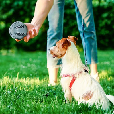 Brinquedos para cães Bola de silicone para limpeza de dentes interativa e distribuição de alimentos com vazamento