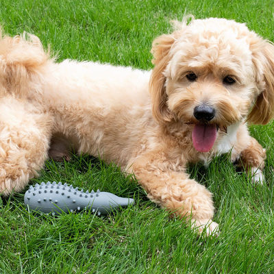 Brinquedos de mastigação duráveis para cães para mastigadores agressivos Material de silicone seguro e duradouro