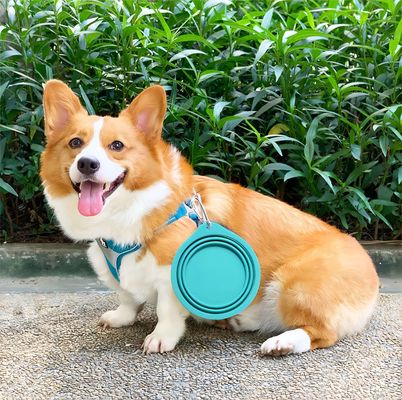 Taça de silicone para animais de estimação amigável para viagens para comida lenta e água potável em aventuras ao ar livre
