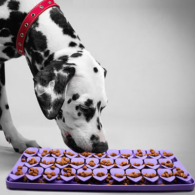 Silicone Slow Feeders Snuffle Mat Primeira amostra para resistência à temperatura livre -40 a 250